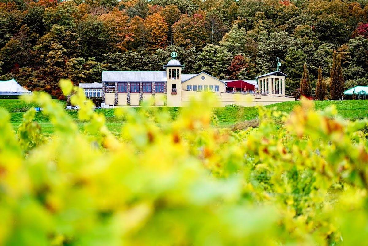 Heron Hill Vineyards