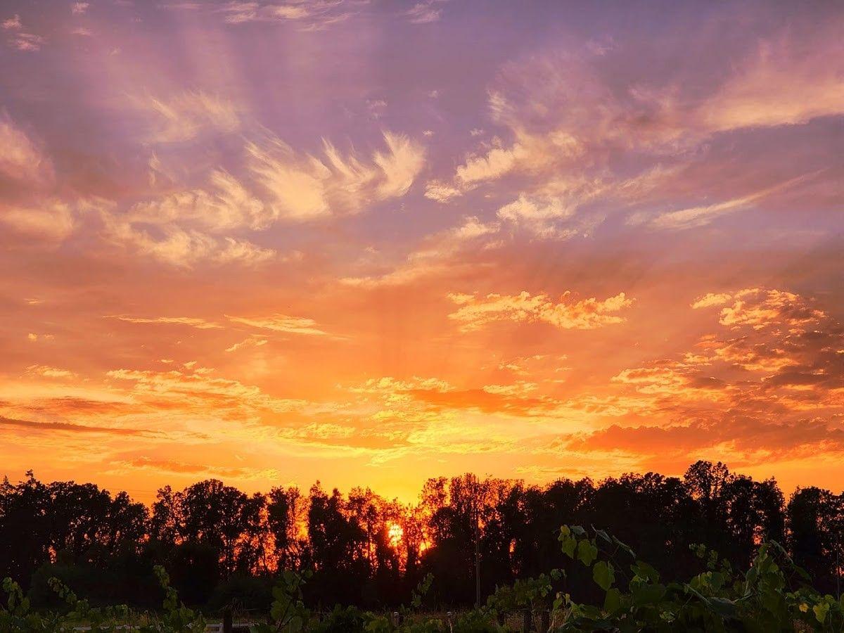 Christopher Bridge Cellars