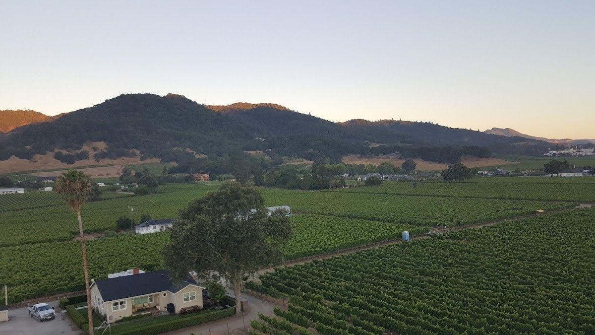 Joel Gott Wines