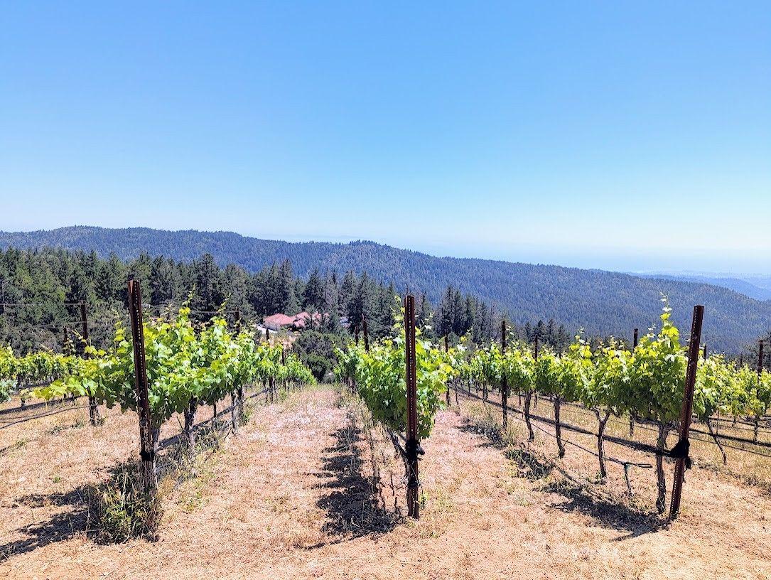 Loma Prieta Winery