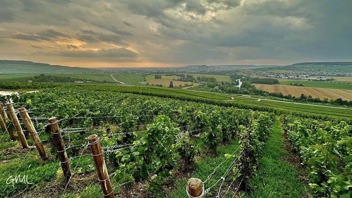 Dom Pérignon