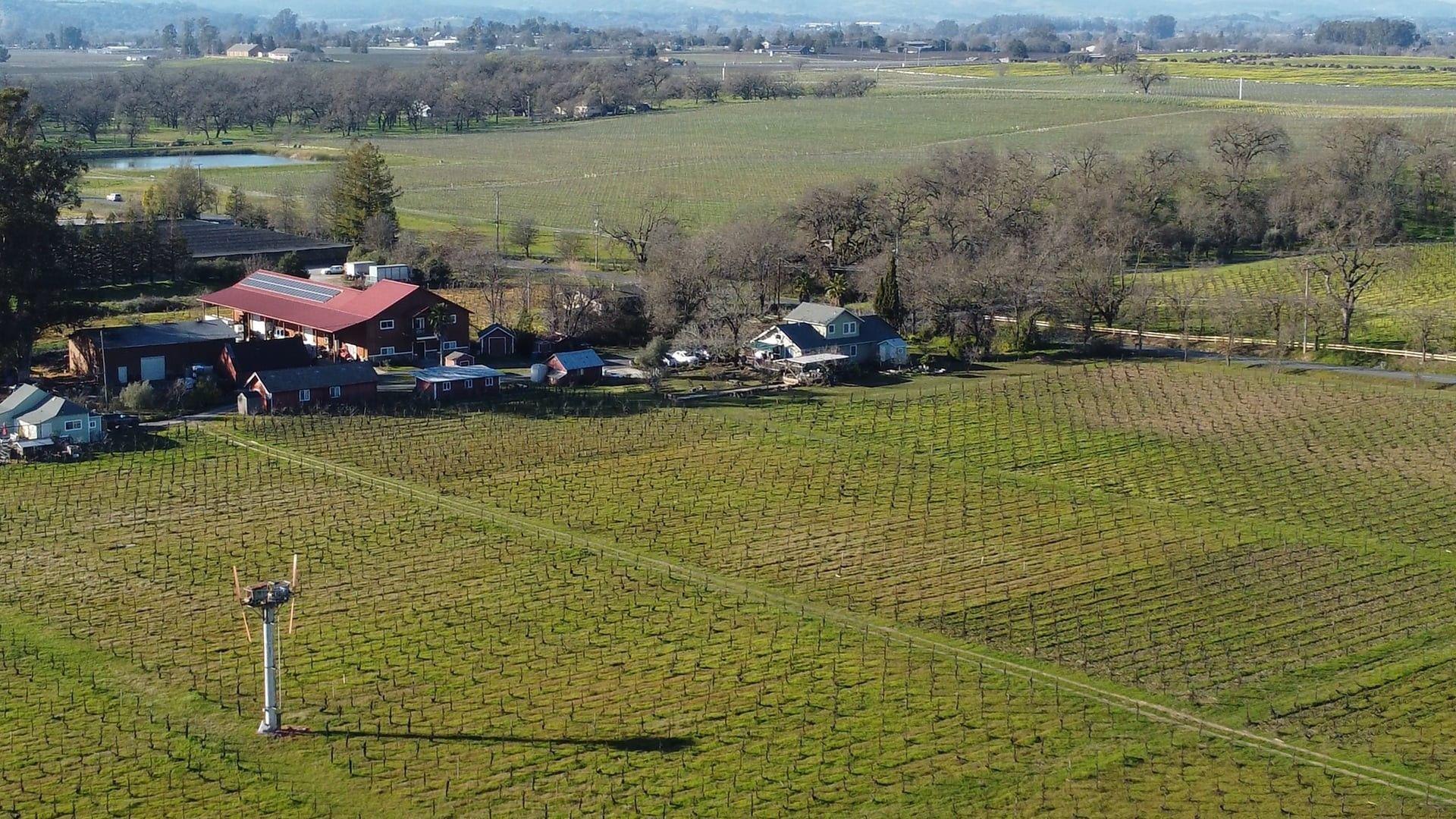 Battaglini Winery
