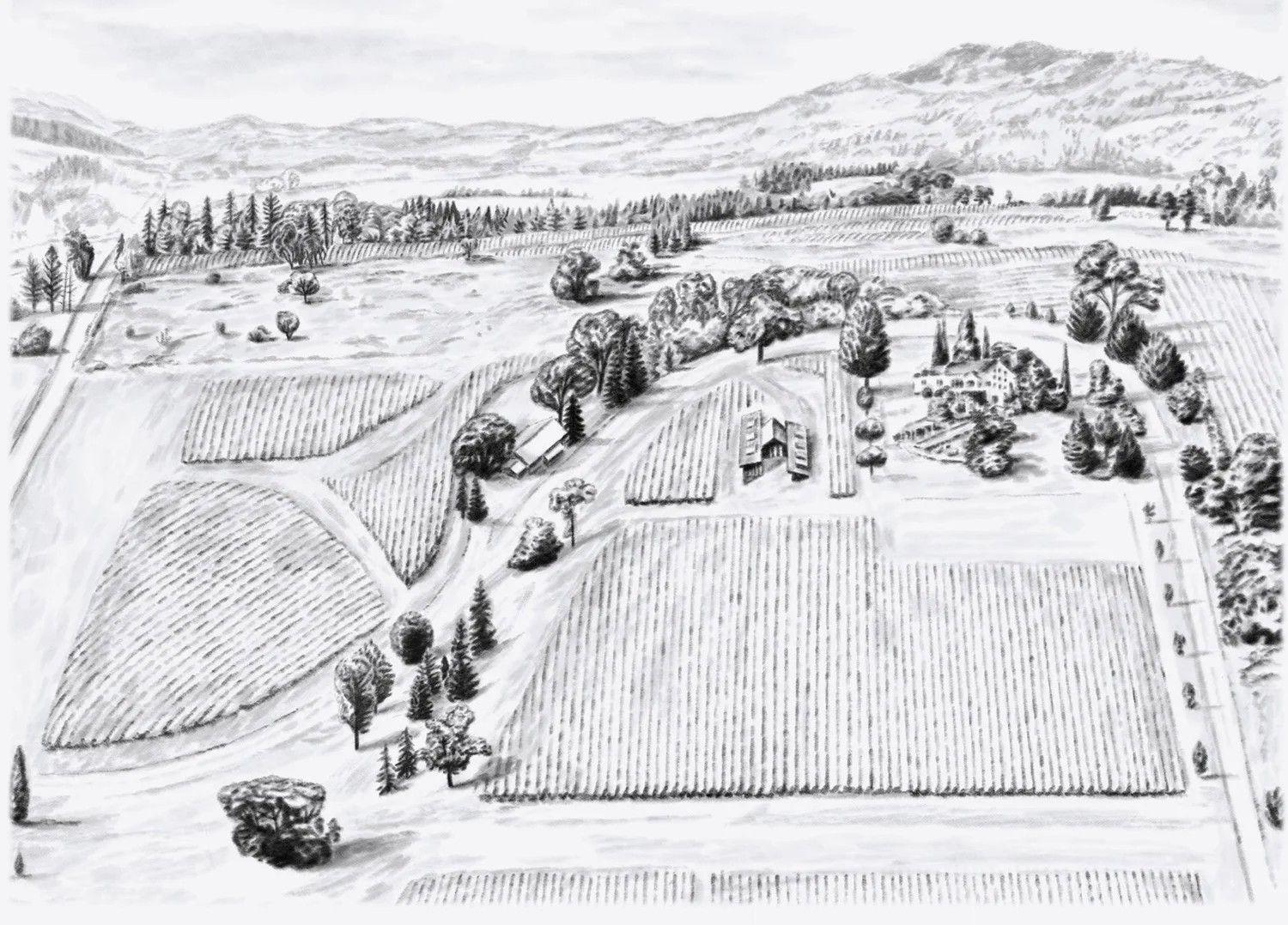 Anacreon Winery