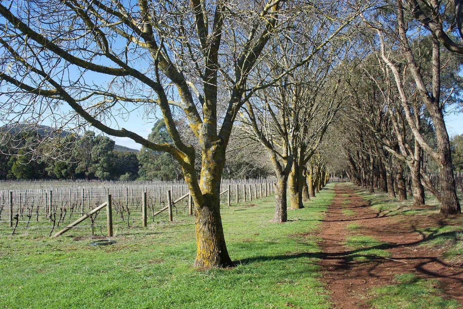 Wilimee Wines