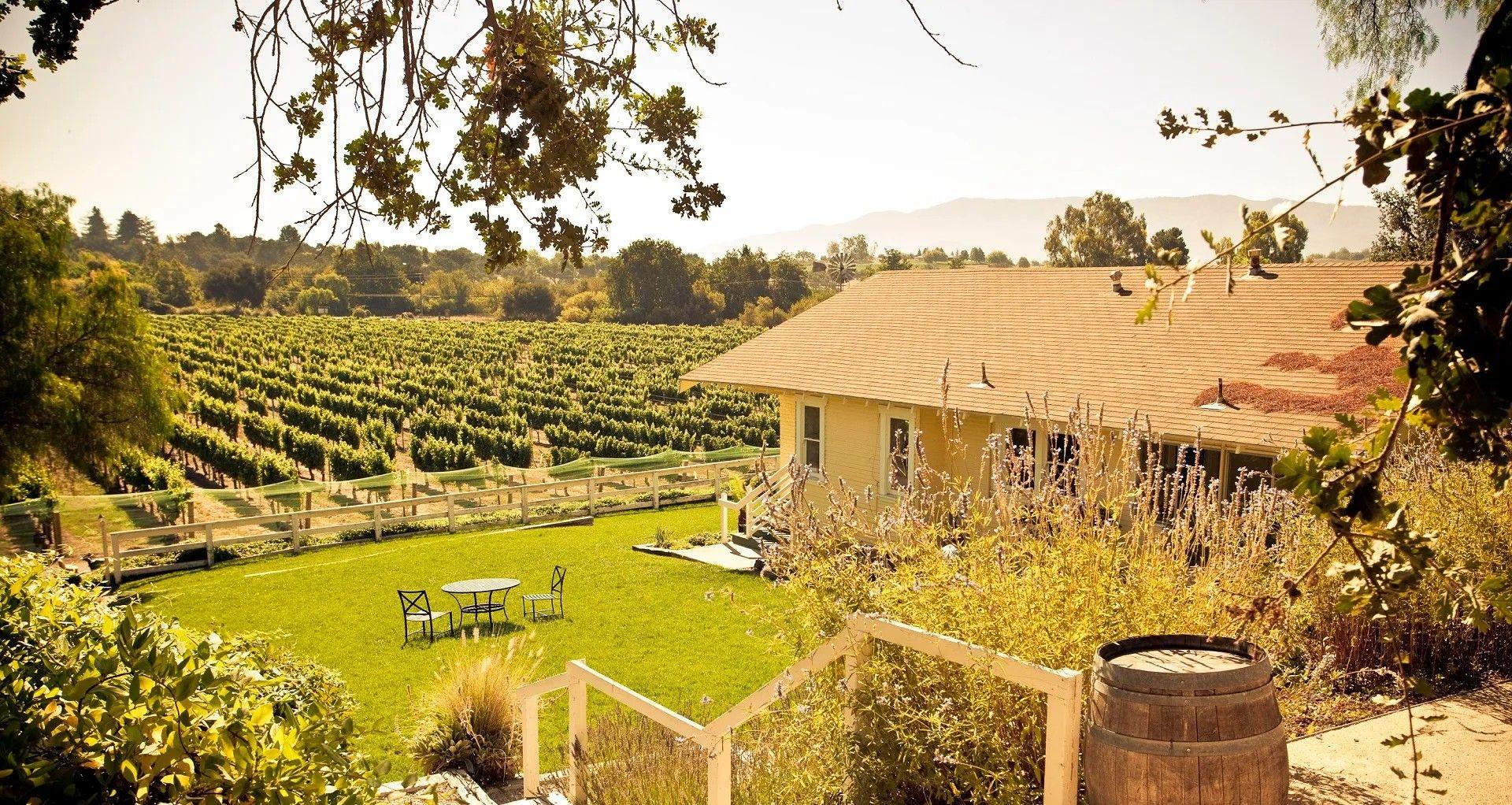 LinCourt Vineyards