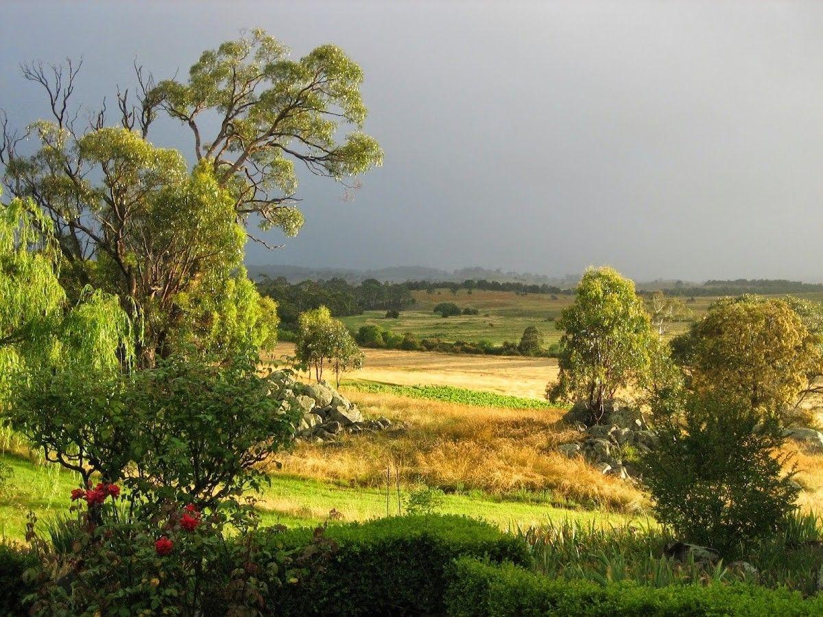 Bungonia Creek Wines
