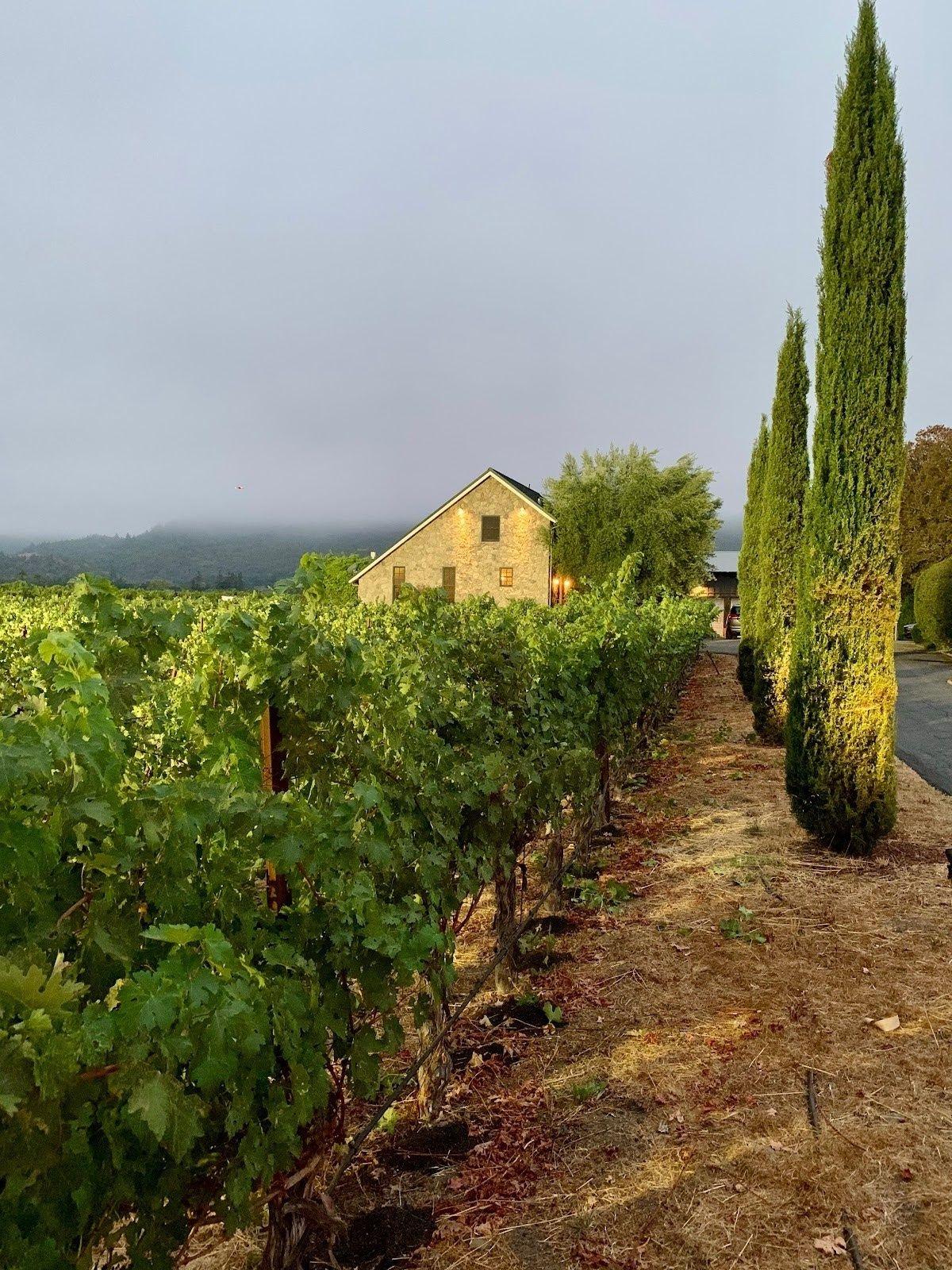 Grand Napa Vineyards