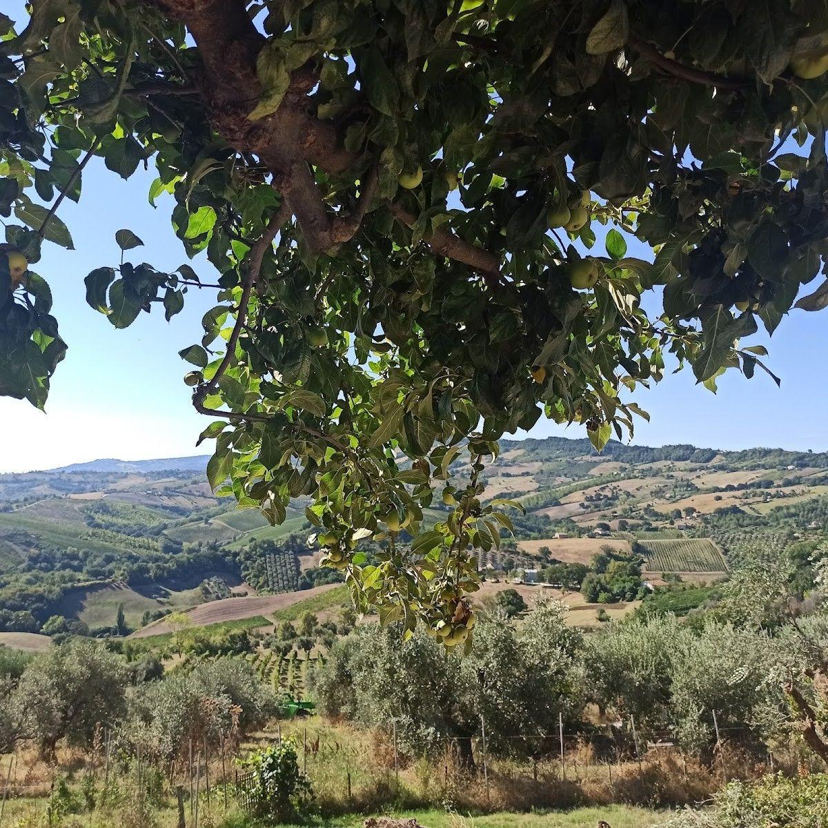 La Distesa