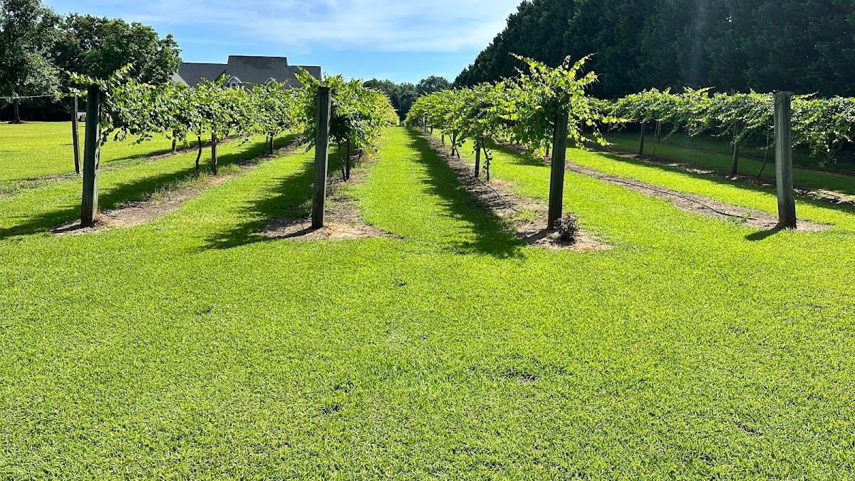 GEORGIA BOB'S CANE RIVER VINEYARDS, LLC.