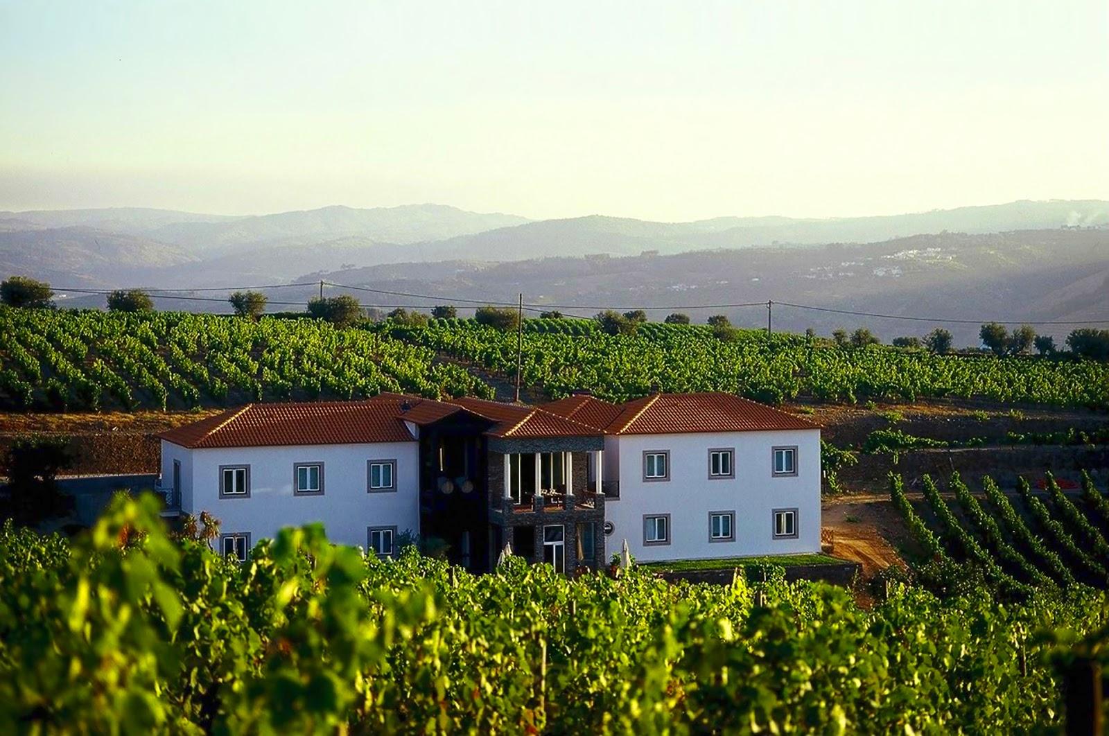 The Manor House Celeirós