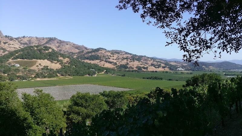 Lindstrom Wines