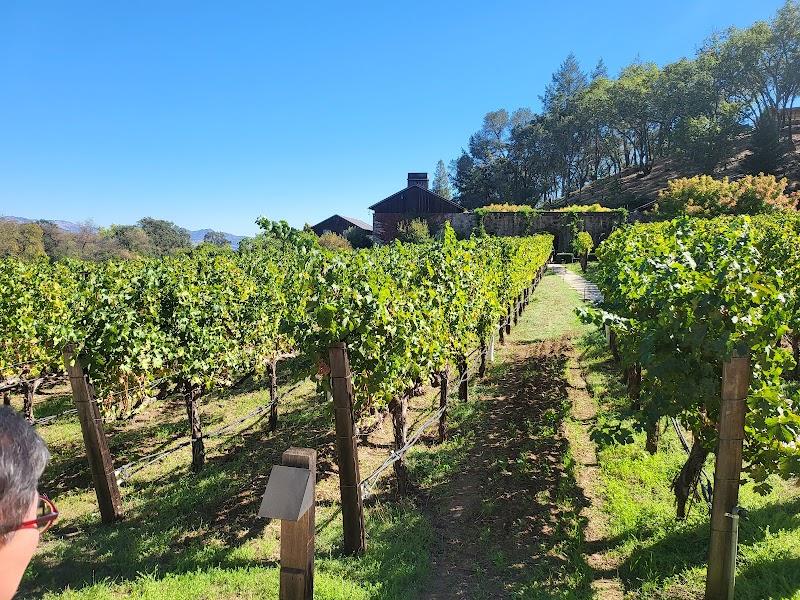 Vaso Cellars