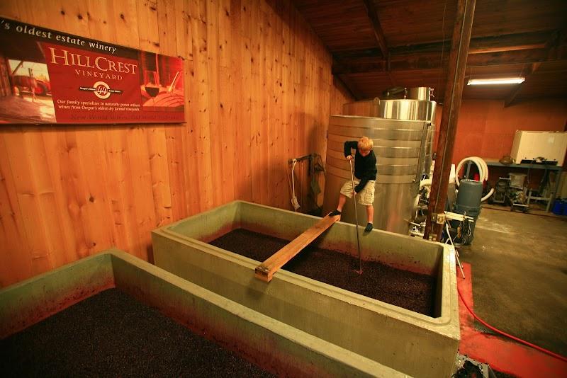 Hillcrest Vineyard