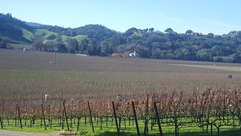 Steelemack Wines