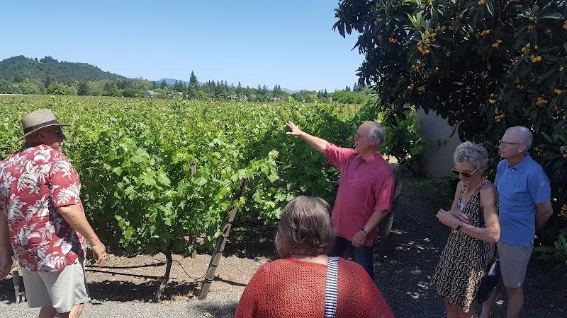 Calafia Wines