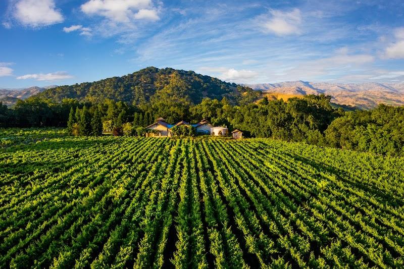 Belle Vallée Cellars