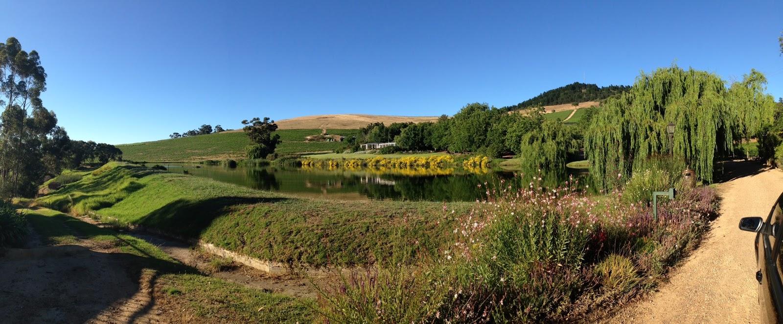 Jordan Wine Estate