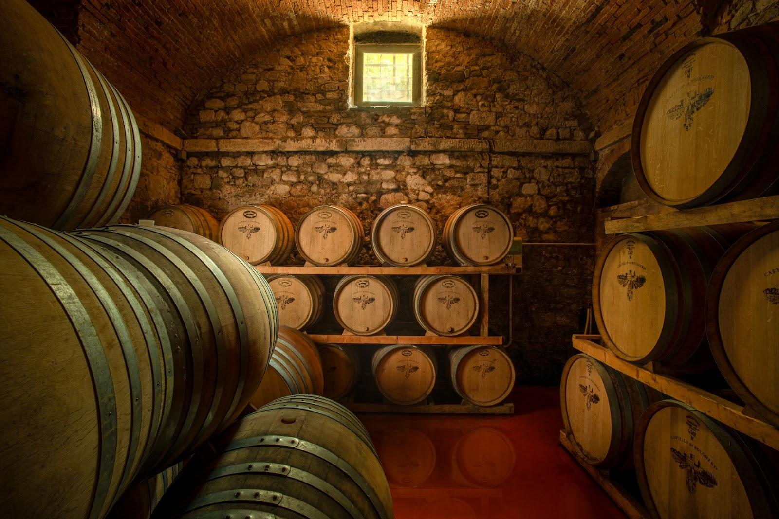 Winery Castello di Bolgheri