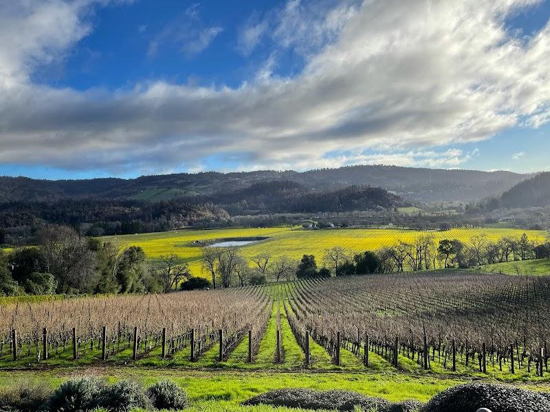 Sodhani Vineyards