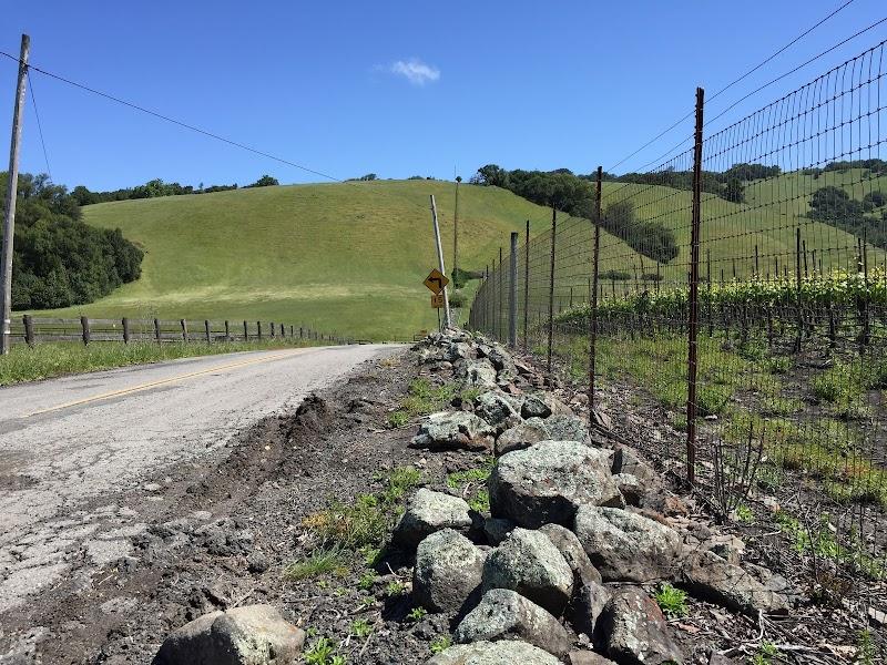 Pfendler Vineyards