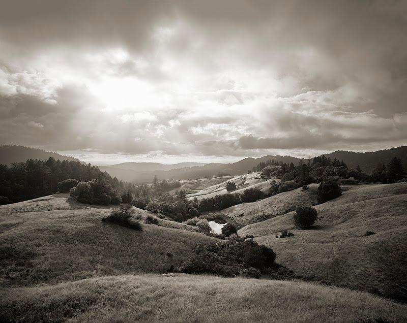 Cornell Vineyards