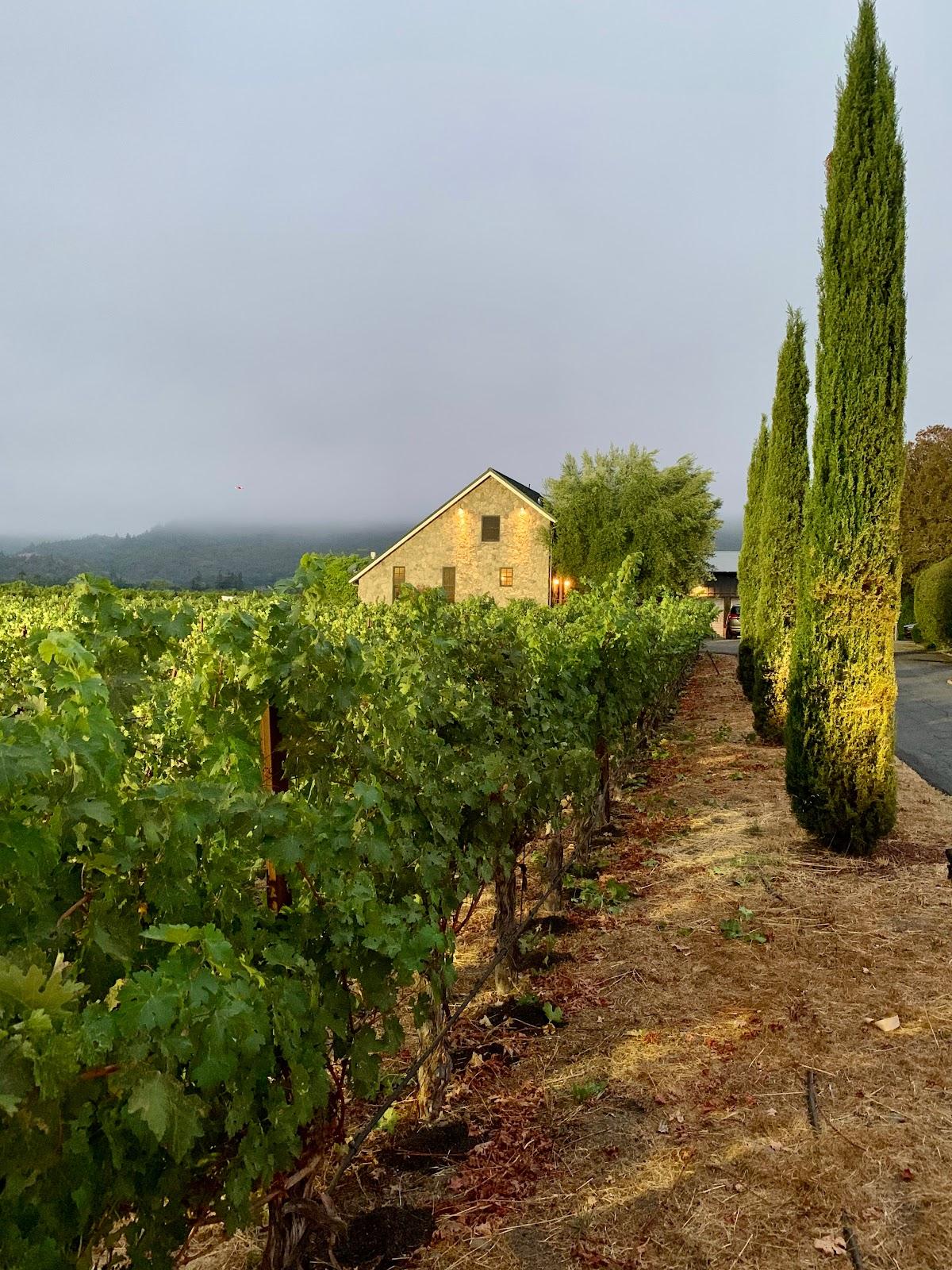 GRAND NAPA WINE COMPANY LLC