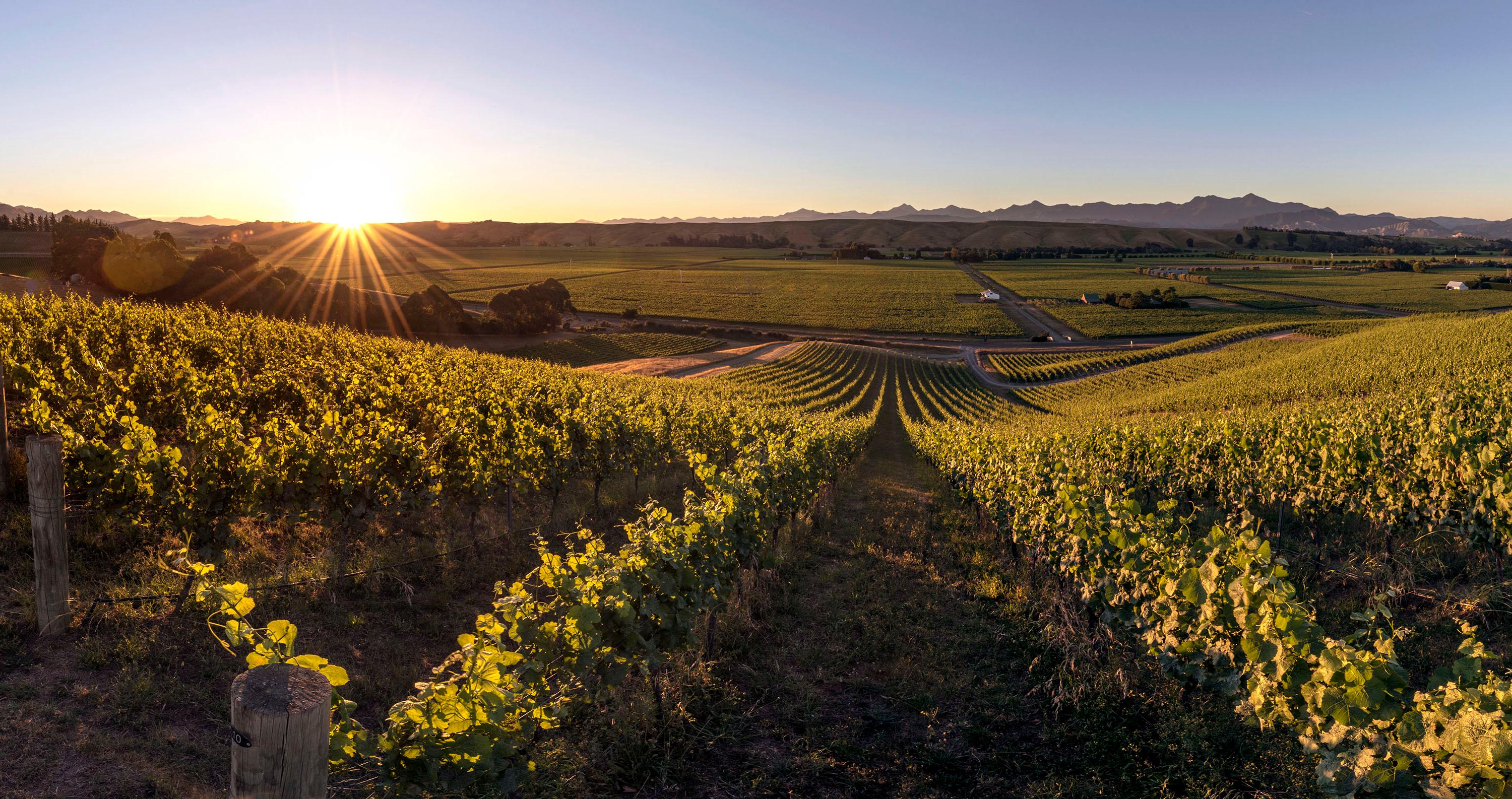 Greywacke