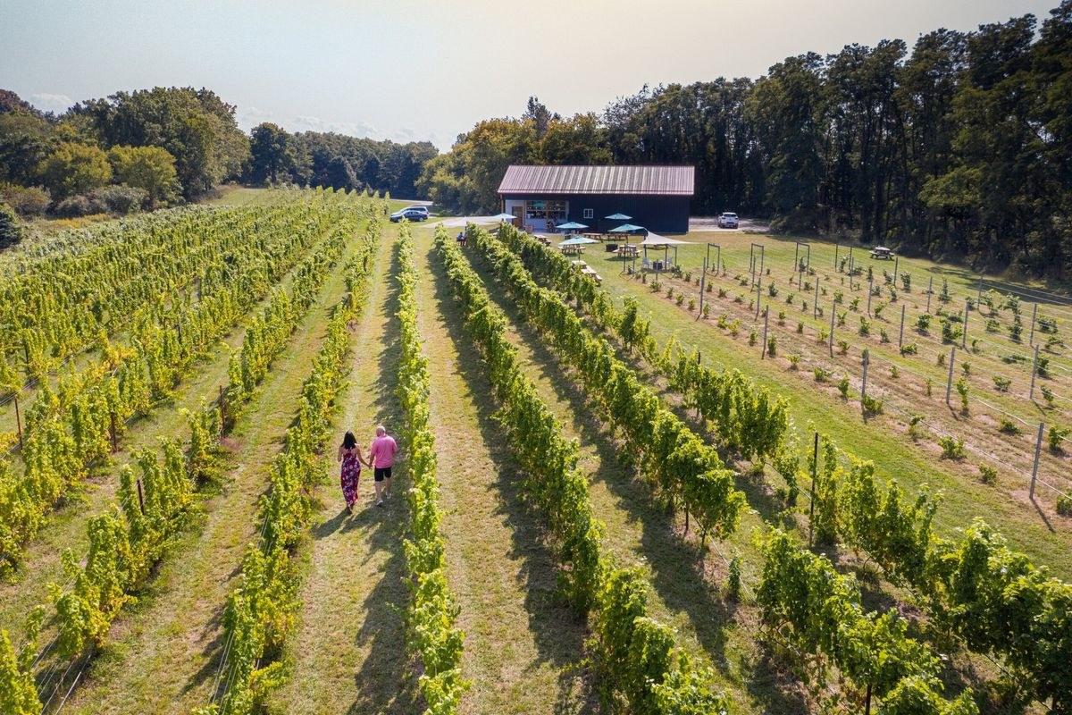 Tiny Vineyards Wine Company