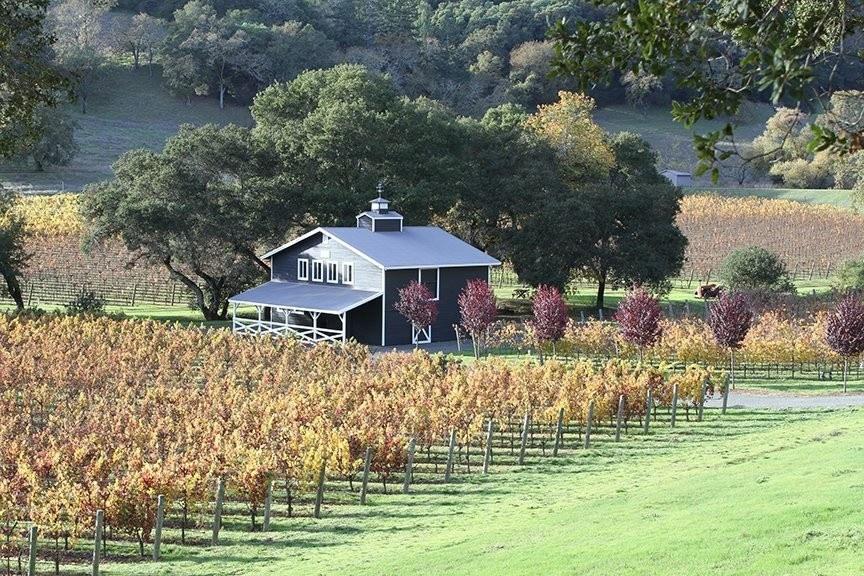 Montgomery Vineyard