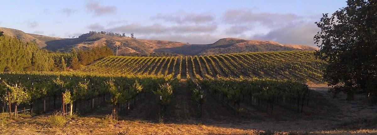 Kessler-Haak Vineyard and Wines