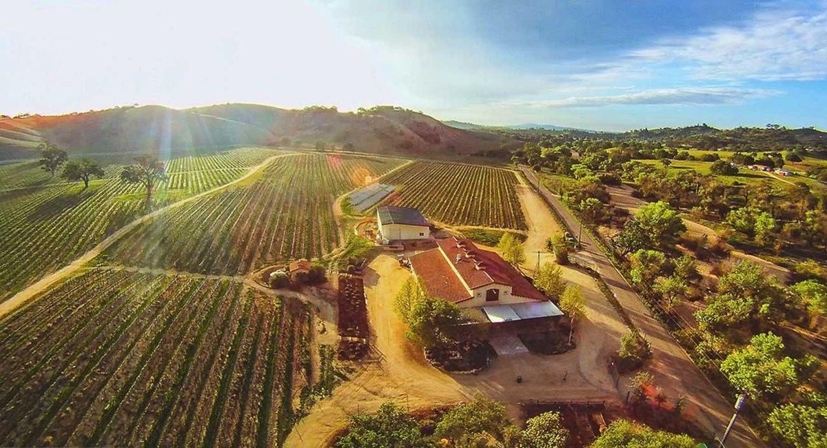 Cass Vineyards and Winery