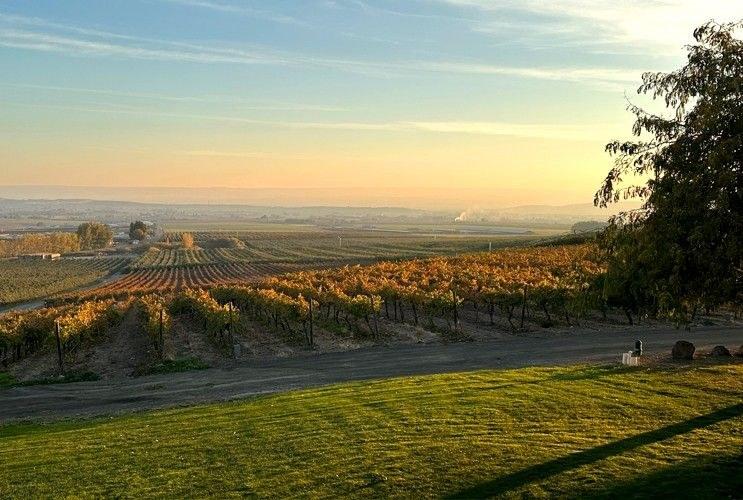 Bosma Estates