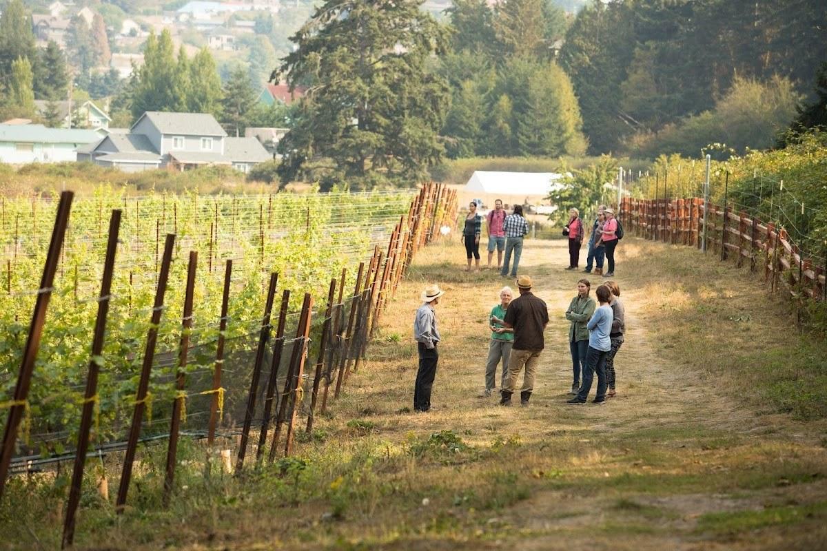 Port Townsend Vineyards