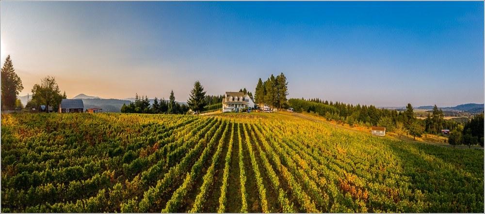 BlueBird Hill Cellars