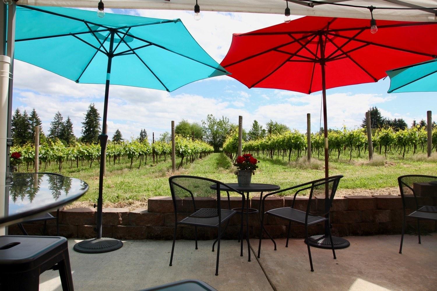 Stavalaura Vineyard