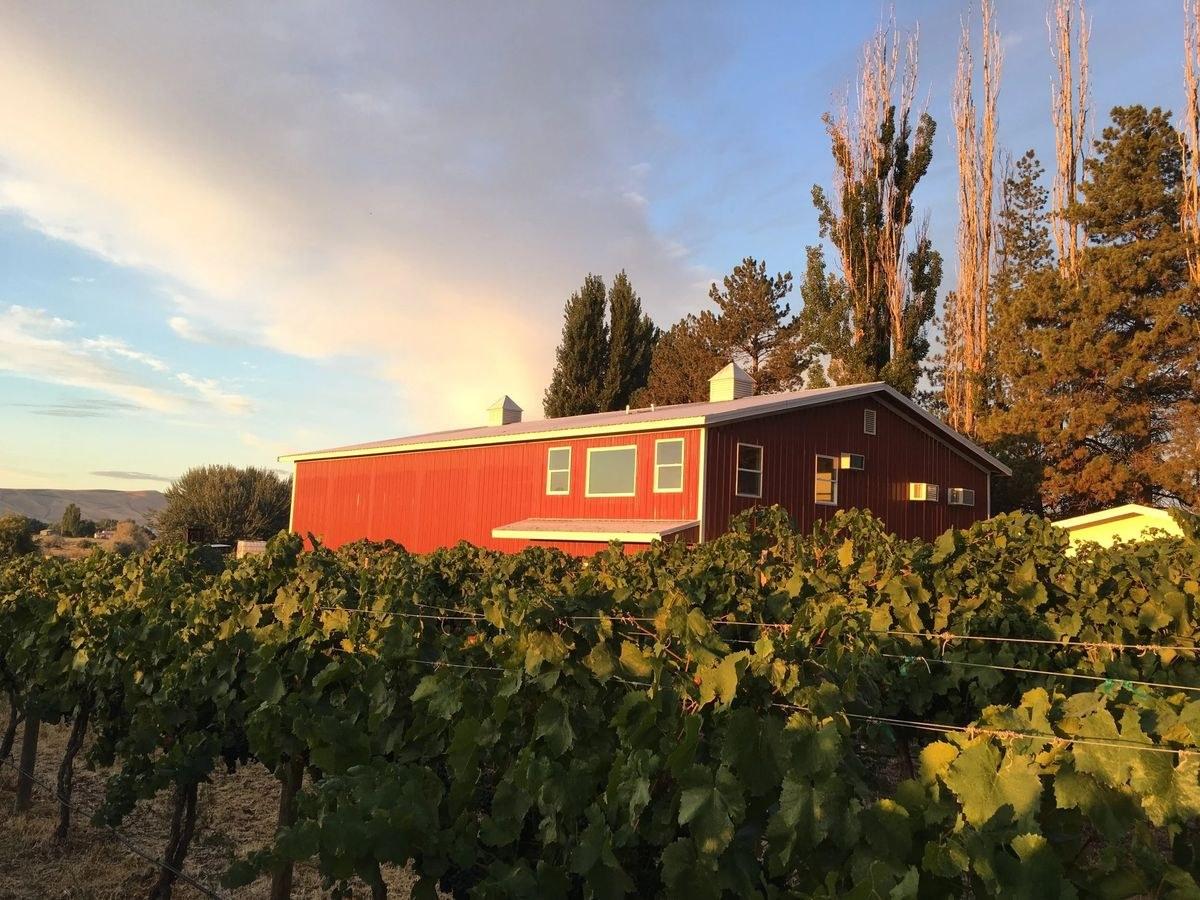 Domanico Cellars and Vineyard