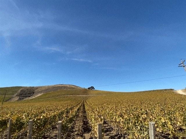 Domaine De La Cote