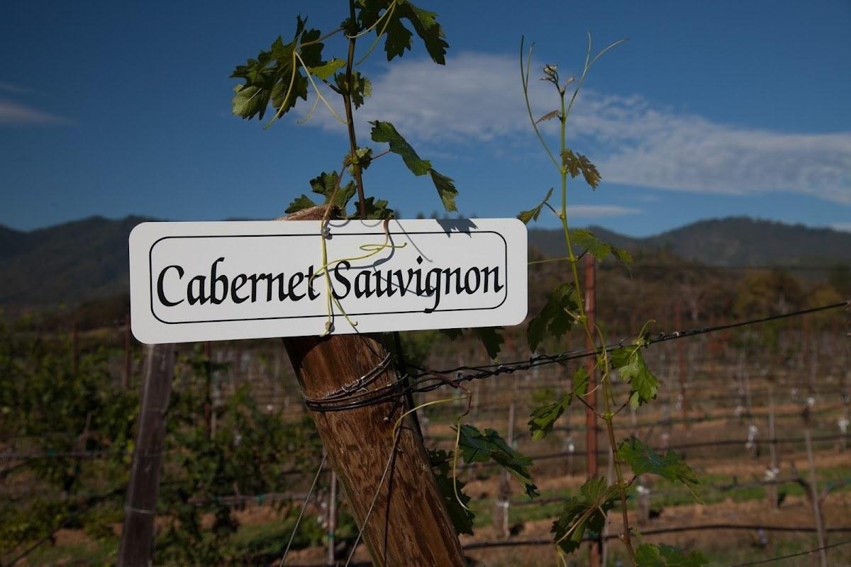 Cliff Creek Cellars / Sams Valley Vineyard