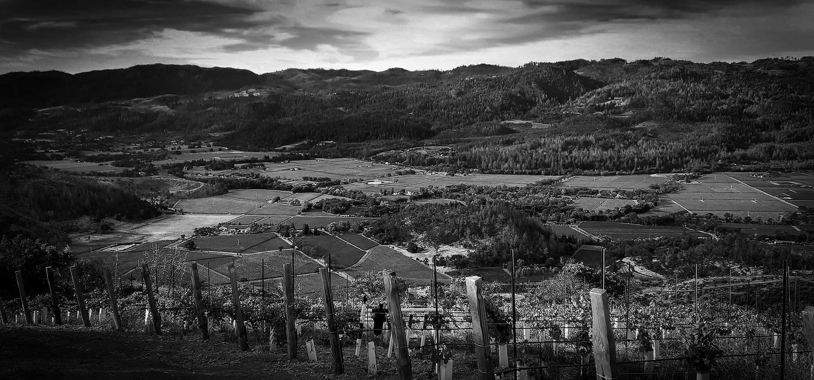 Zakin Estate Wines