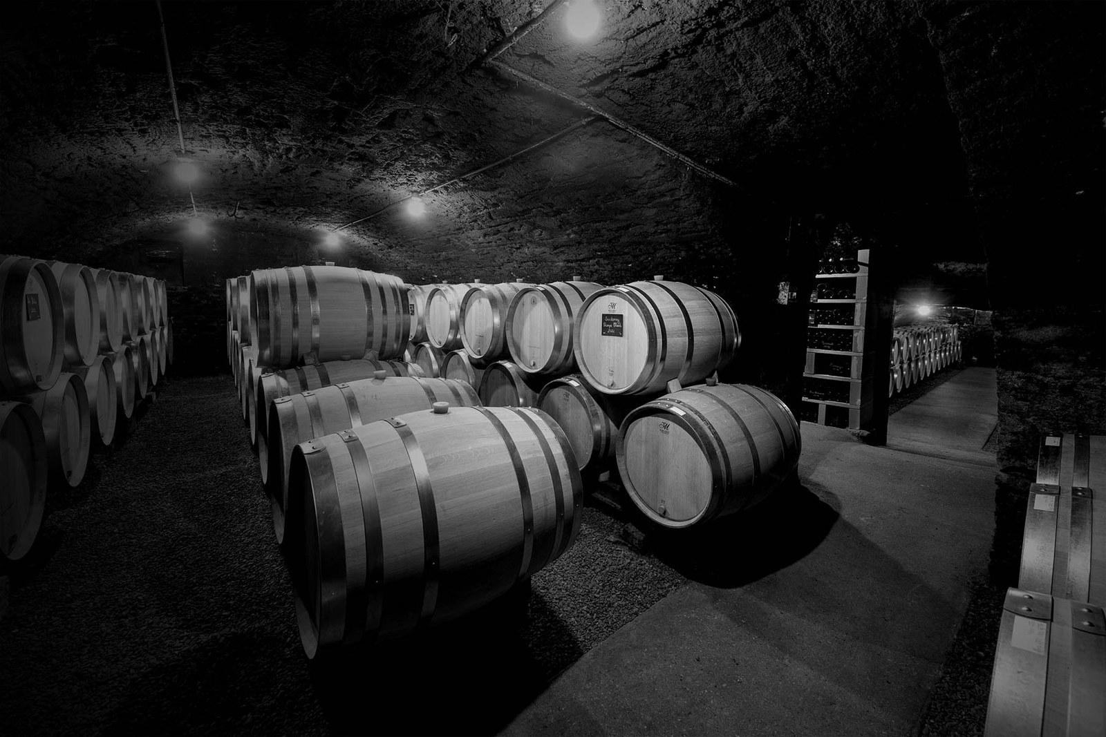 Domaine David Moreau