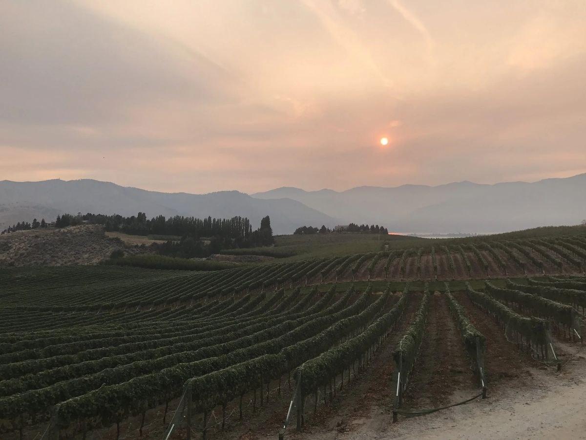 Descendant Cellars