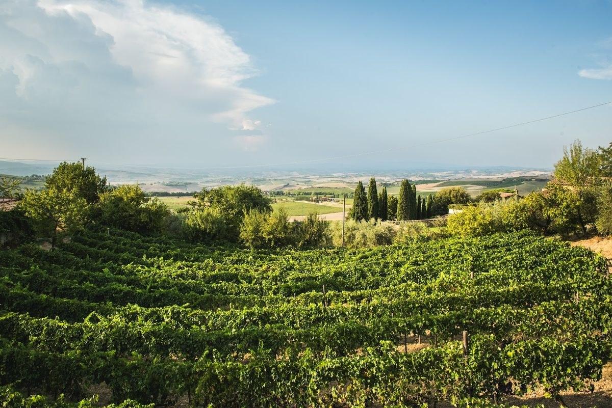 Il Paradiso di Manfredi