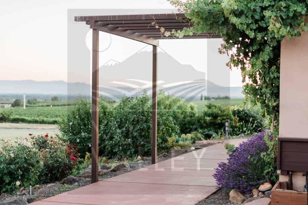 VanArnam Vineyards