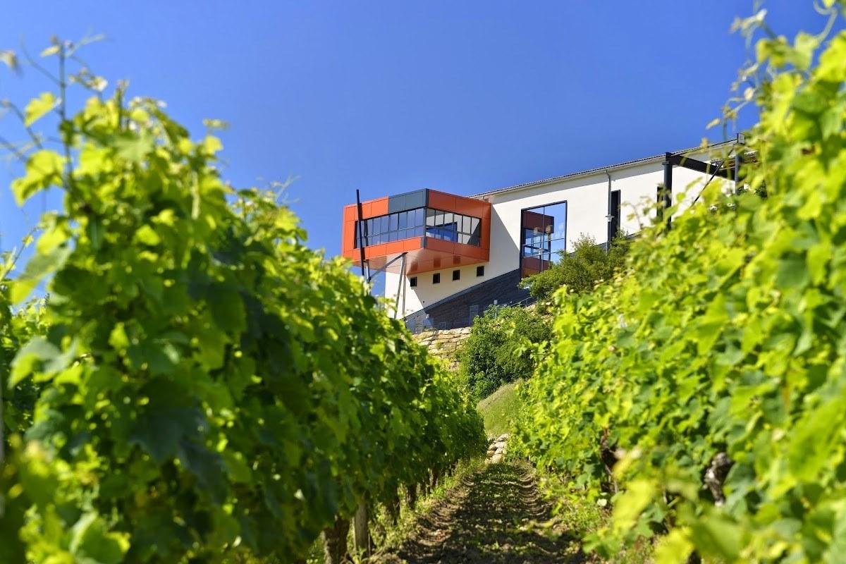 Château La Croizille