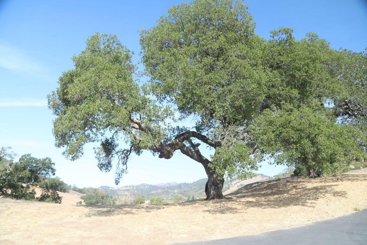 Grieve Family Winery