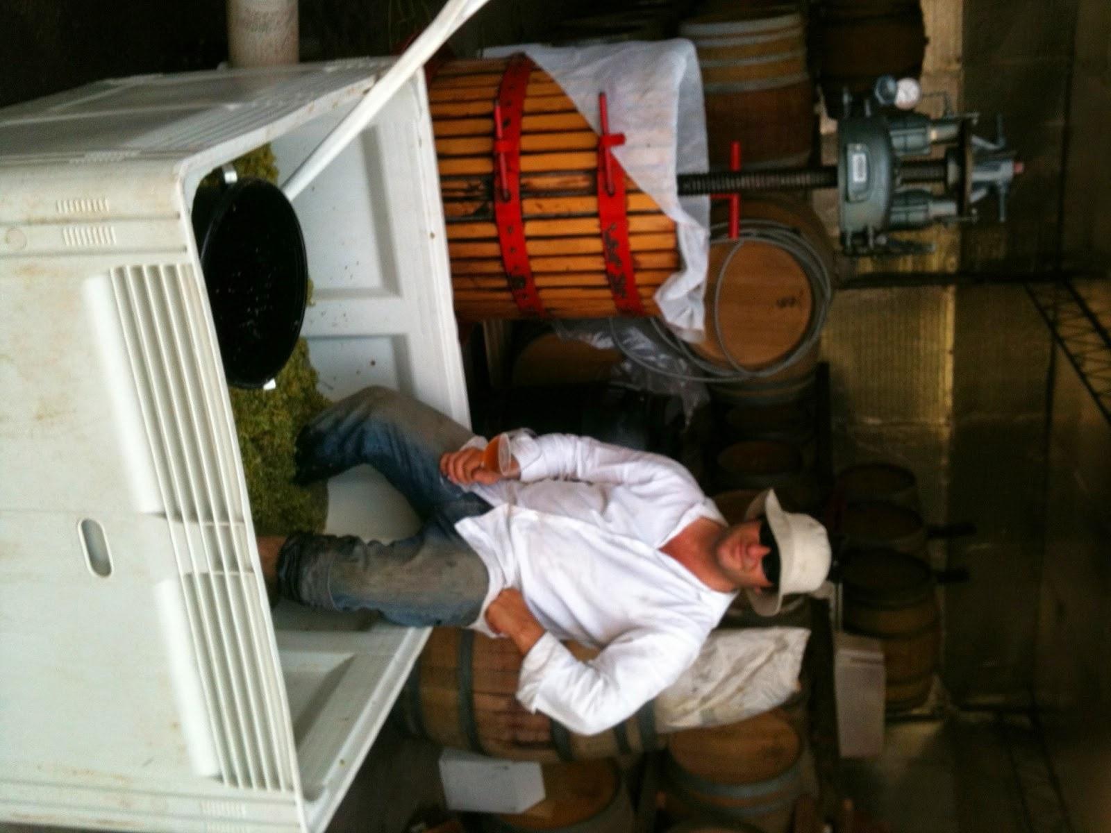Sellicks Hill Wines