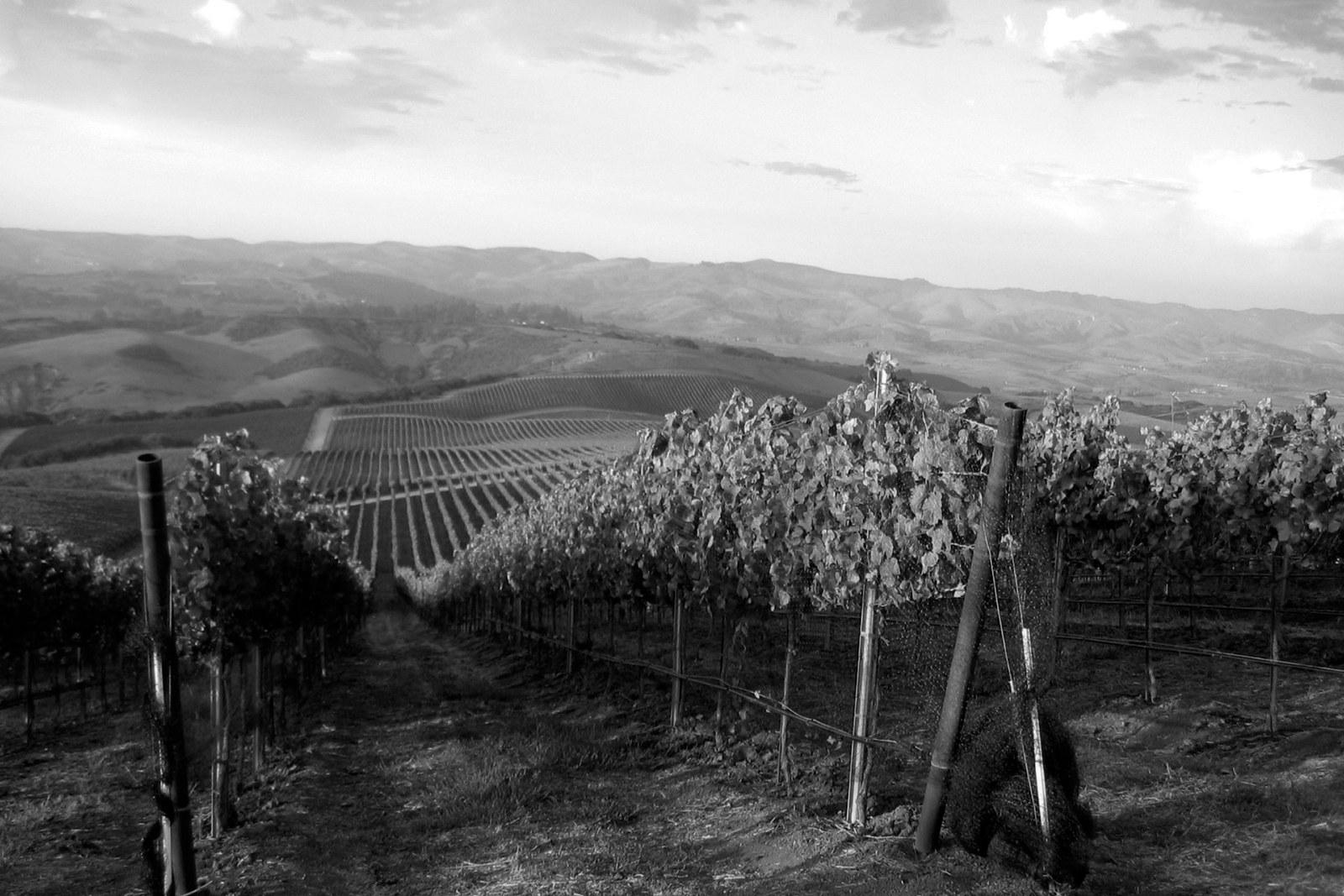 Foley Estate Vineyard & Winery