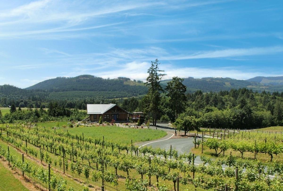 Sandhi Wines