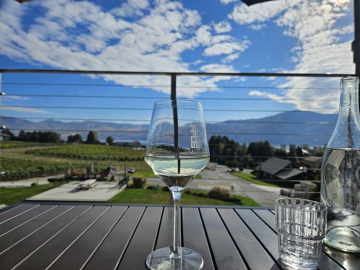 Amos Rome Vineyards