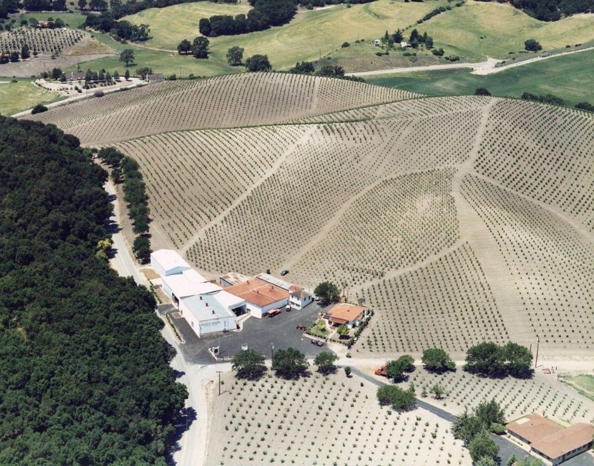 Nerelli Winery